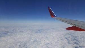 wing photo